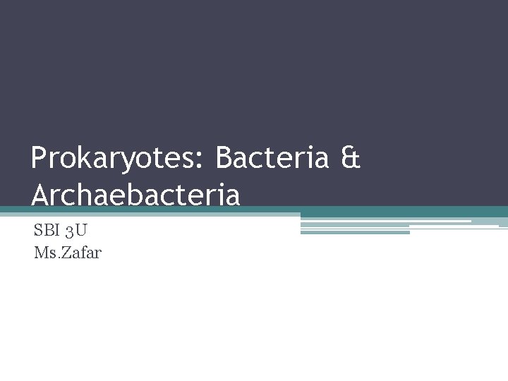 Prokaryotes: Bacteria & Archaebacteria SBI 3 U Ms. Zafar 