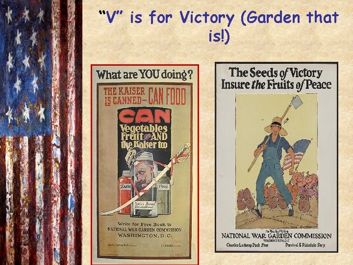 “V” is for Victory (Garden that is!) 