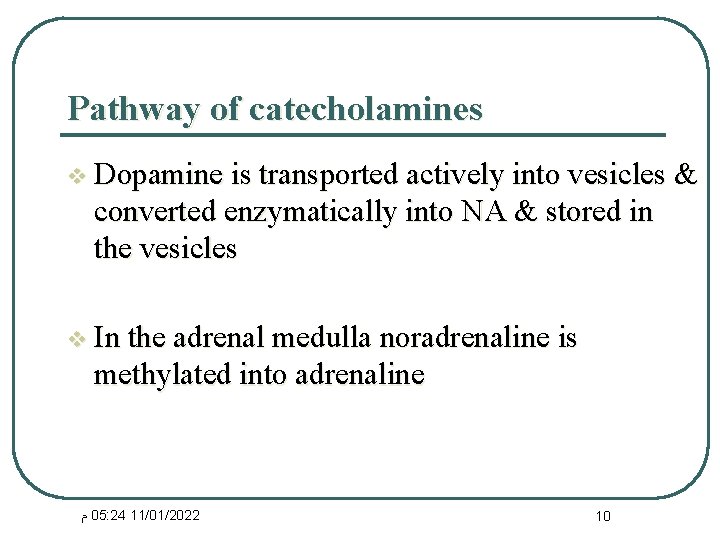 Pathway of catecholamines v Dopamine is transported actively into vesicles & converted enzymatically into