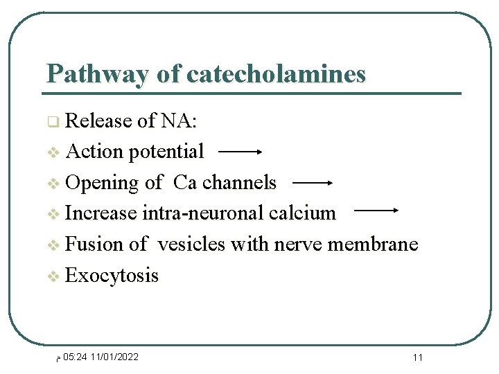 Pathway of catecholamines q Release of NA: v Action potential v Opening of Ca
