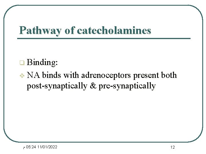 Pathway of catecholamines q Binding: v NA binds with adrenoceptors present both post-synaptically &