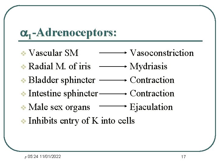  1 -Adrenoceptors: v Vascular SM Vasoconstriction v Radial M. of iris Mydriasis v