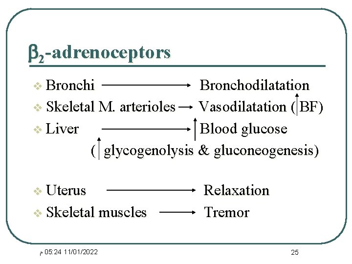  2 -adrenoceptors v Bronchi Bronchodilatation v Skeletal M. arterioles Vasodilatation ( BF) v