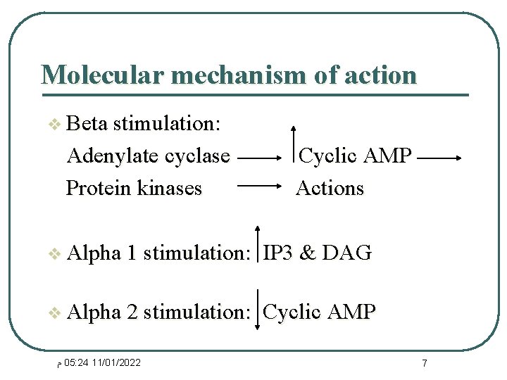 Molecular mechanism of action v Beta stimulation: Adenylate cyclase Protein kinases Cyclic AMP Actions