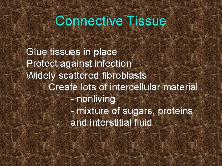 Connective Tissue Glue tissues in place Protect against infection Widely scattered fibroblasts Create lots