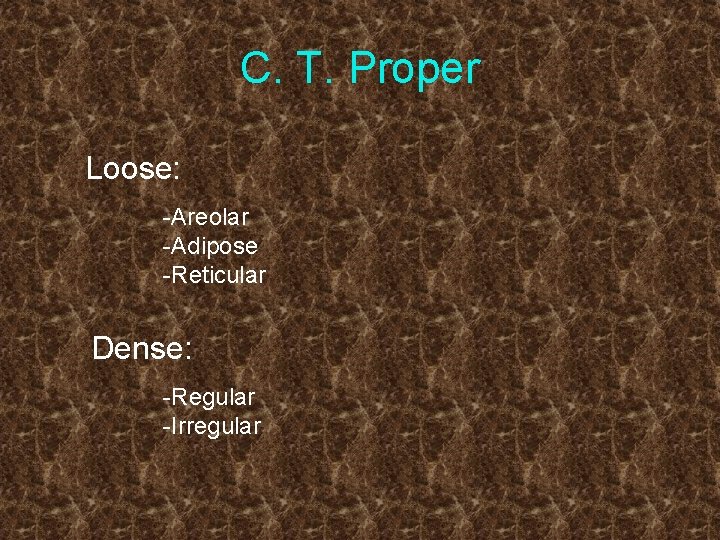 C. T. Proper Loose: -Areolar -Adipose -Reticular Dense: -Regular -Irregular 