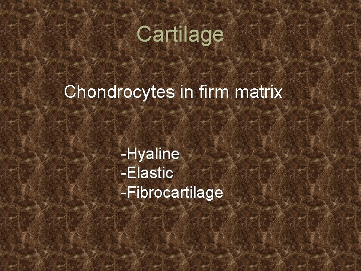 Cartilage Chondrocytes in firm matrix -Hyaline -Elastic -Fibrocartilage 