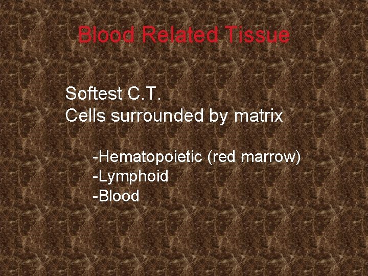 Blood Related Tissue Softest C. T. Cells surrounded by matrix -Hematopoietic (red marrow) -Lymphoid