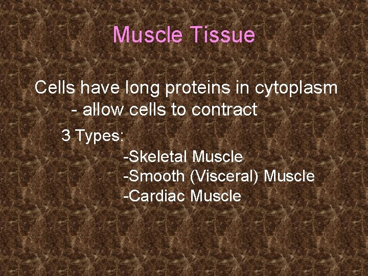 Muscle Tissue Cells have long proteins in cytoplasm - allow cells to contract 3