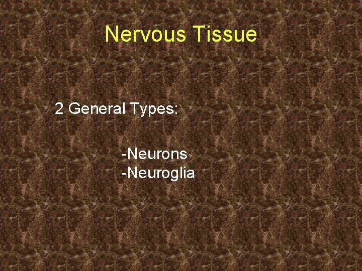 Nervous Tissue 2 General Types: -Neurons -Neuroglia 