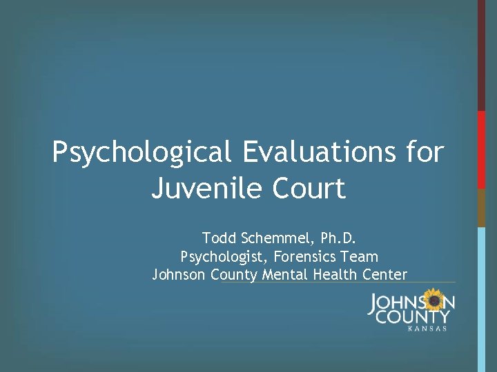 Psychological Evaluations for Juvenile Court Todd Schemmel Ph