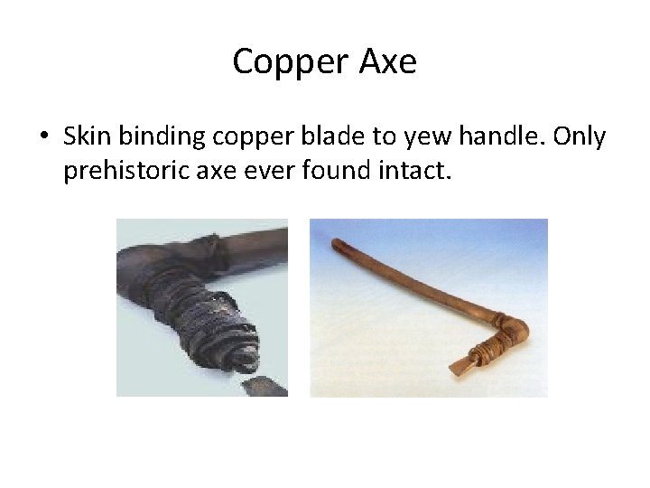 Copper Axe • Skin binding copper blade to yew handle. Only prehistoric axe ever