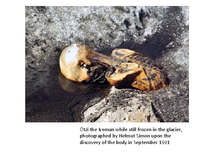 Ötzi the Iceman while still frozen in the glacier, photographed by Helmut Simon upon