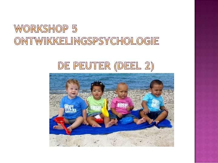 Doelen Theorie Socialeaffectieve ontwikkeling Opdracht 4 de peuter