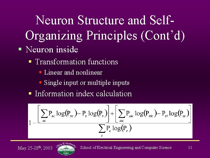 Neuron Structure and Self. Organizing Principles (Cont’d) § Neuron inside § Transformation functions §