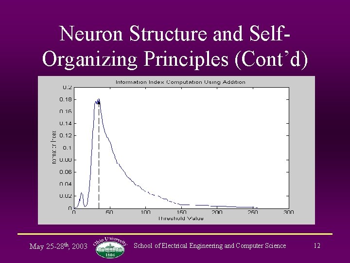 Neuron Structure and Self. Organizing Principles (Cont’d) May 25 -28 th, 2003 School of