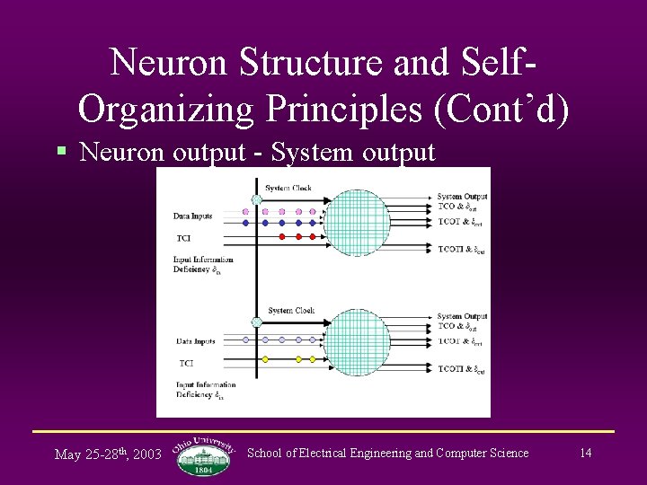 Neuron Structure and Self. Organizing Principles (Cont’d) § Neuron output - System output May