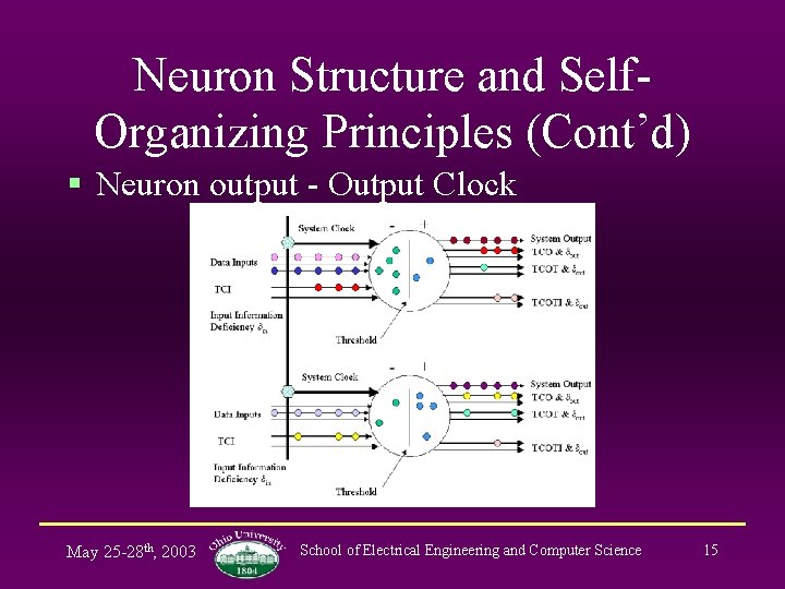 Neuron Structure and Self. Organizing Principles (Cont’d) § Neuron output - Output Clock May