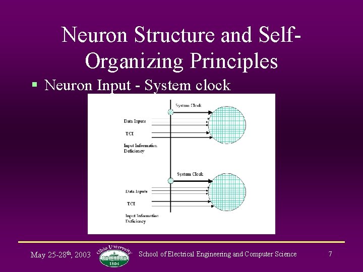 Neuron Structure and Self. Organizing Principles § Neuron Input - System clock May 25