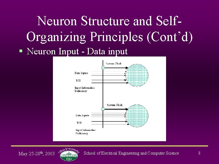 Neuron Structure and Self. Organizing Principles (Cont’d) § Neuron Input - Data input May
