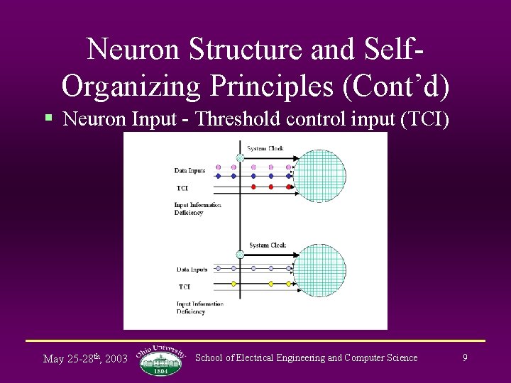 Neuron Structure and Self. Organizing Principles (Cont’d) § Neuron Input - Threshold control input
