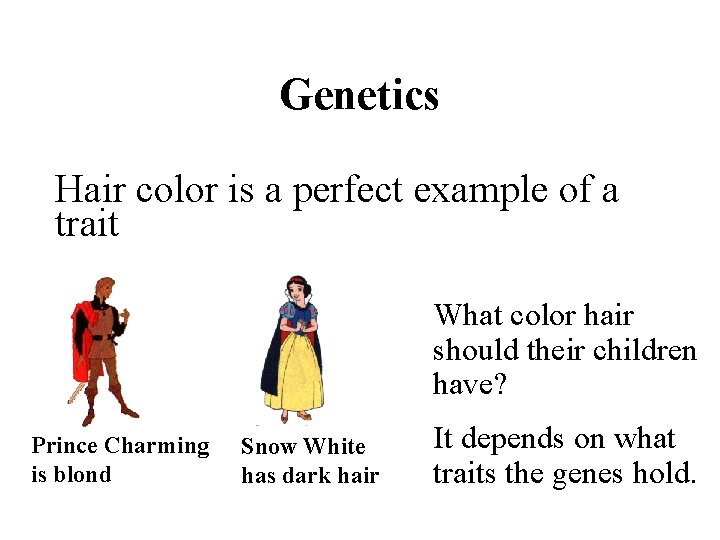 Genetics Hair color is a perfect example of a trait What color hair should