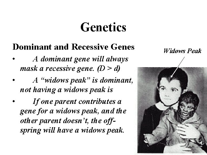 Genetics Dominant and Recessive Genes • A dominant gene will always mask a recessive