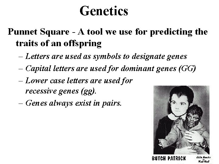 Genetics Punnet Square - A tool we use for predicting the traits of an