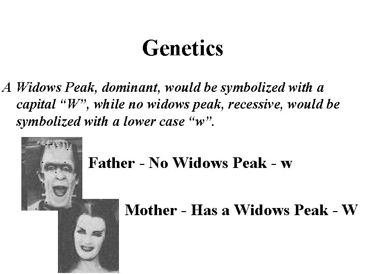 Genetics A Widows Peak, dominant, would be symbolized with a capital “W”, while no