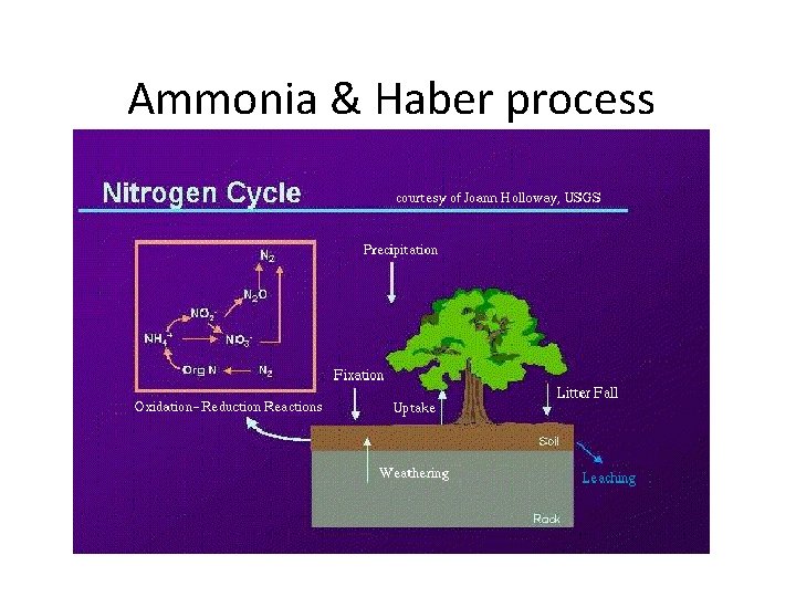 Ammonia & Haber process 