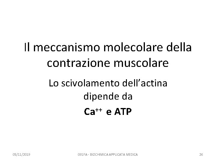 Il meccanismo molecolare della contrazione muscolare Lo scivolamento dell’actina dipende da Ca++ e ATP