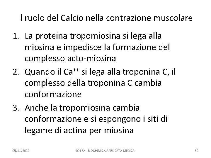 Il ruolo del Calcio nella contrazione muscolare 1. La proteina tropomiosina si lega alla