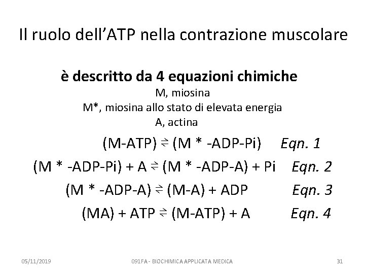 Il ruolo dell’ATP nella contrazione muscolare è descritto da 4 equazioni chimiche M, miosina