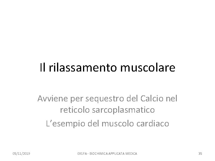 Il rilassamento muscolare Avviene per sequestro del Calcio nel reticolo sarcoplasmatico L’esempio del muscolo