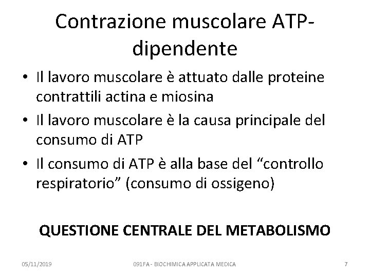 Contrazione muscolare ATPdipendente • Il lavoro muscolare è attuato dalle proteine contrattili actina e