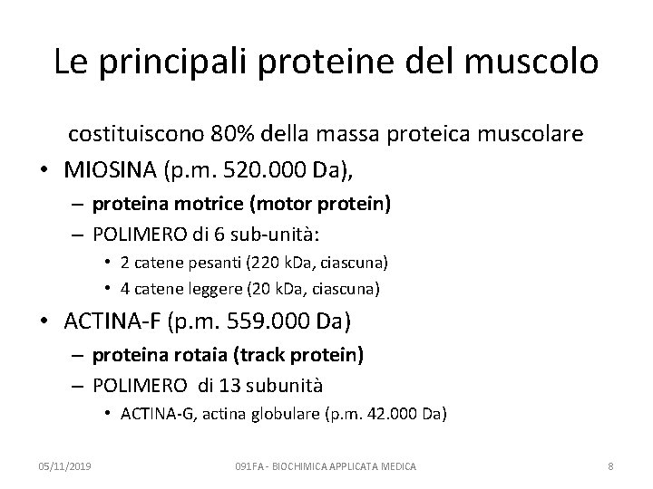 Le principali proteine del muscolo costituiscono 80% della massa proteica muscolare • MIOSINA (p.