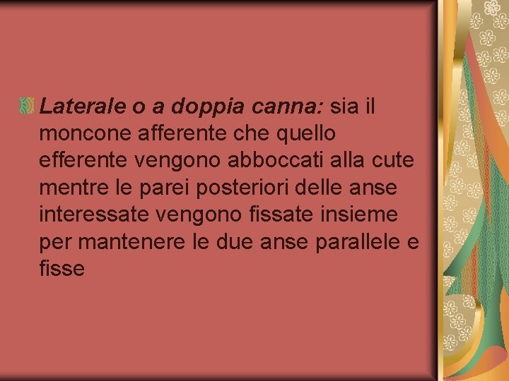 Laterale o a doppia canna: sia il moncone afferente che quello efferente vengono abboccati