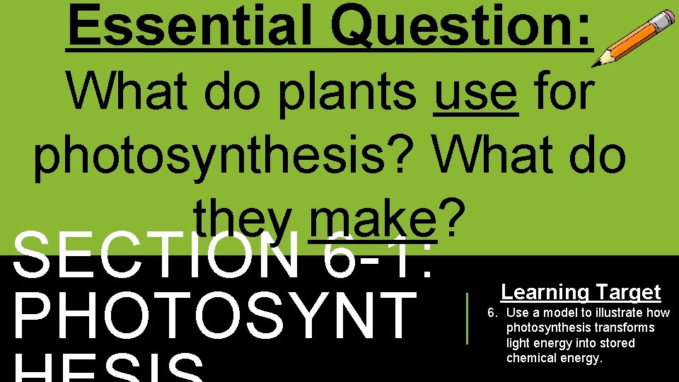 Essential Question: What do plants use for photosynthesis? What do they make? SECTION 6