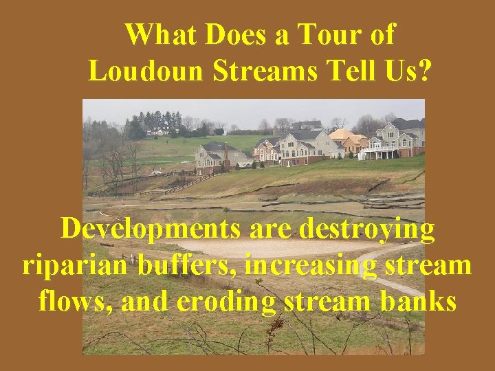 What Does a Tour of Loudoun Streams Tell Us? Developments are destroying riparian buffers,