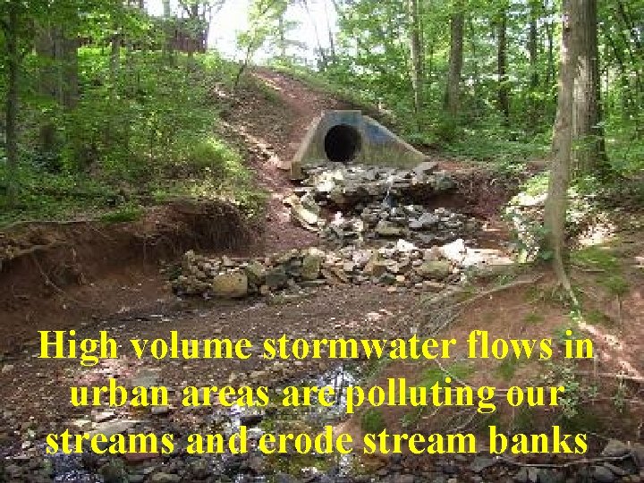 High volume stormwater flows in urban areas are polluting our streams and erode stream