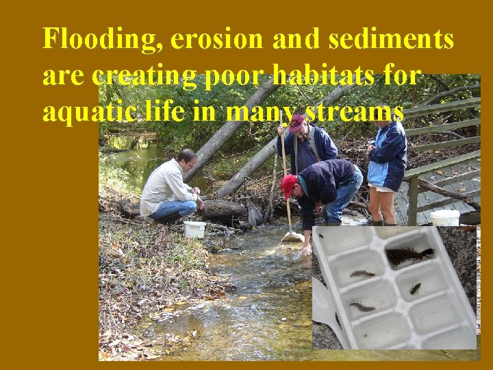 Flooding, erosion and sediments are creating poor habitats for aquatic life in many streams