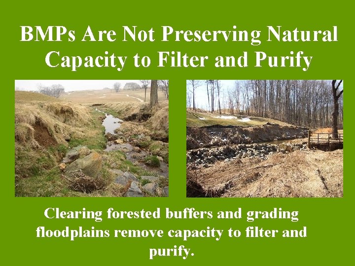 BMPs Are Not Preserving Natural Capacity to Filter and Purify Clearing forested buffers and