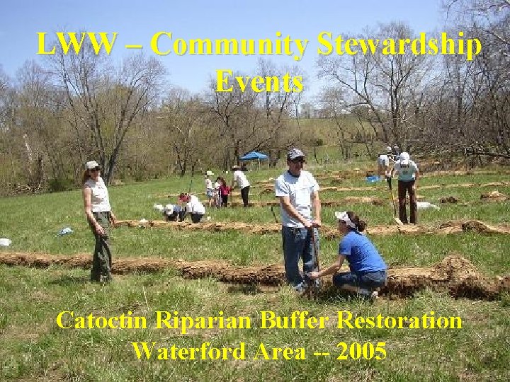 LWW – Community Stewardship Events Catoctin Riparian Buffer Restoration Waterford Area -- 2005 