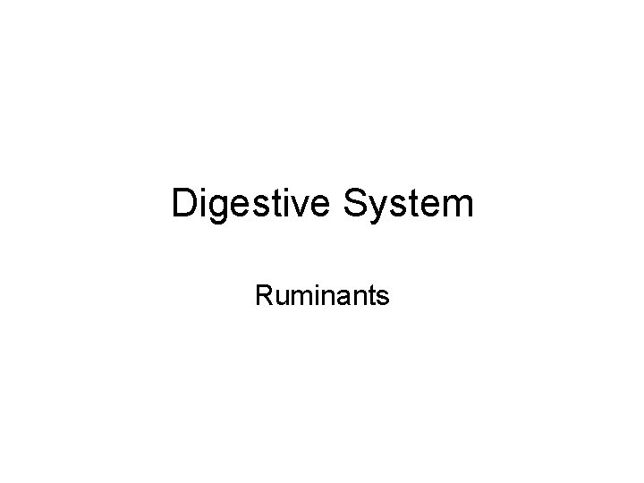 Digestive System Ruminants 
