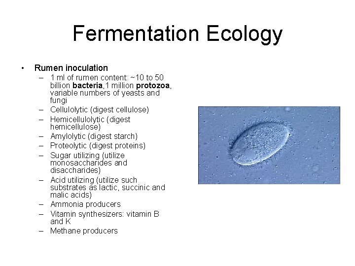 Fermentation Ecology • Rumen inoculation – 1 ml of rumen content: ~10 to 50