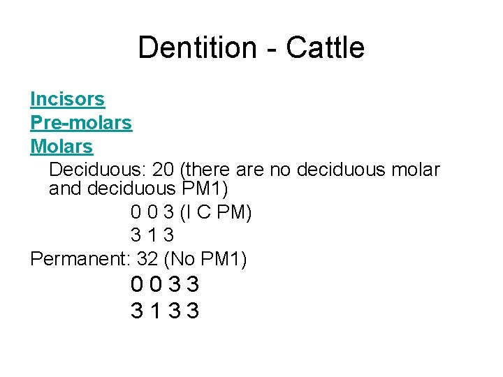 Dentition - Cattle Incisors Pre-molars Molars Deciduous: 20 (there are no deciduous molar and
