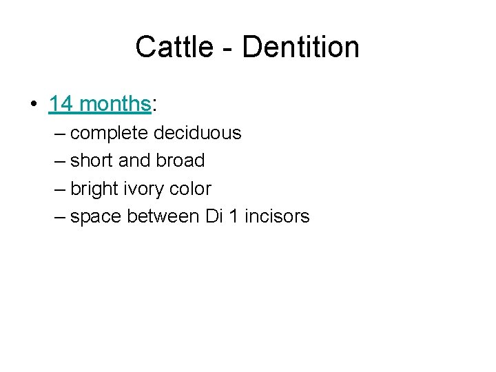 Cattle - Dentition • 14 months: – complete deciduous – short and broad –