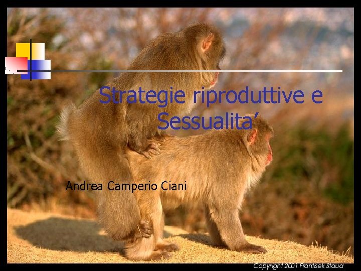 Strategie riproduttive e Sessualita’ Andrea Camperio Ciani 