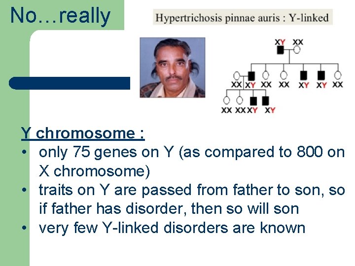 No…really Y chromosome : • only 75 genes on Y (as compared to 800