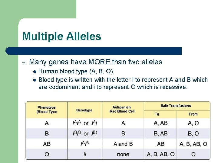 Multiple Alleles – Many genes have MORE than two alleles l l Human blood